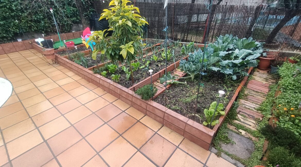 WhatsApp Image 2025-02-14 at 11.53.55