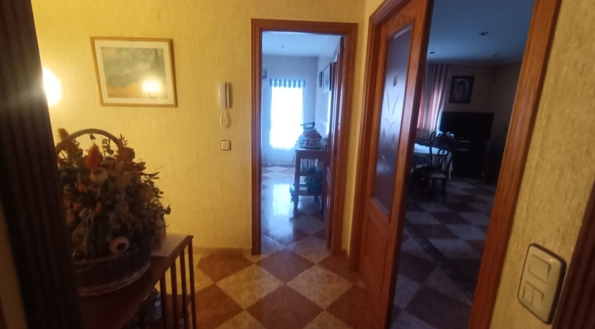 WhatsApp Image 2025-02-14 at 11.54.04