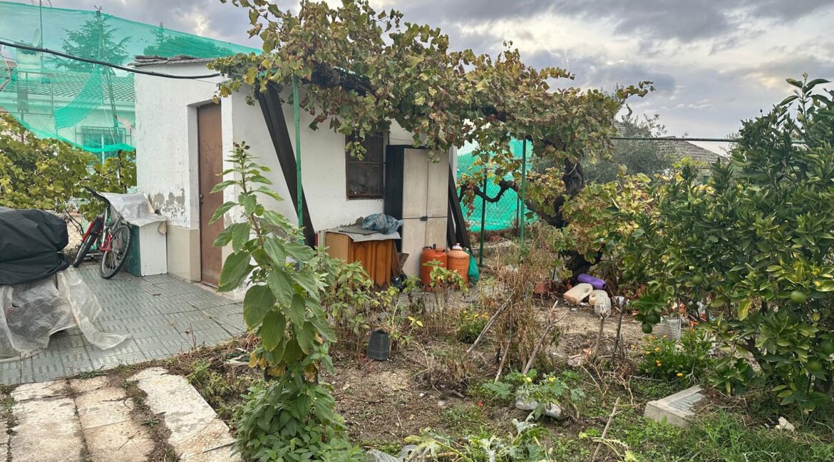 WhatsApp Image 2025-11-07 at 15.50.07 (2)