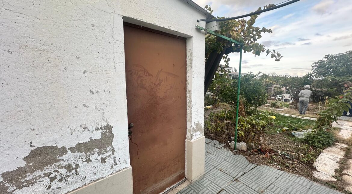 WhatsApp Image 2025-11-07 at 15.50.08 (3)