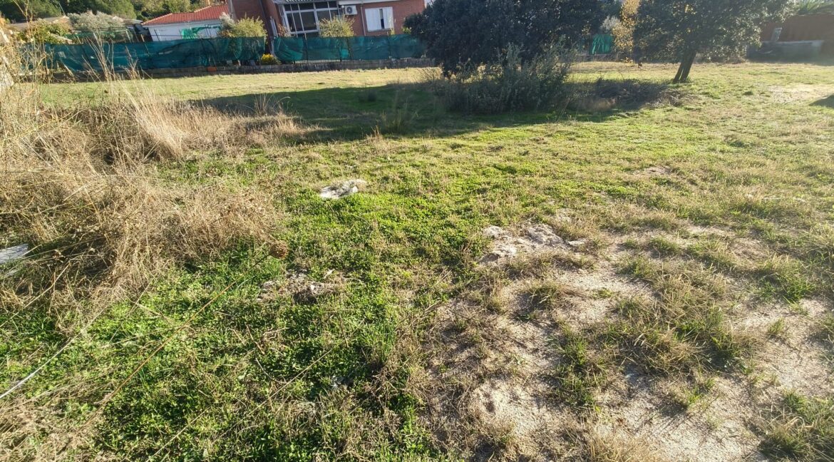 WhatsApp Image 2025-11-20 at 16.33.42