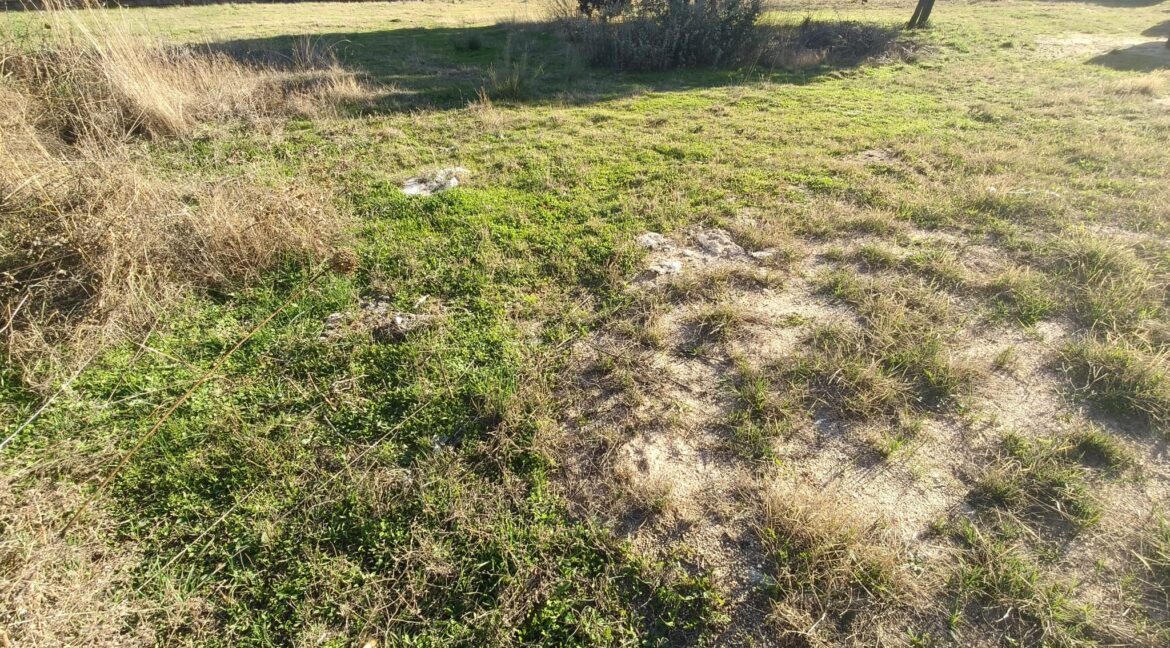 WhatsApp Image 2025-11-20 at 16.33.43 (2)